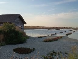 2026-07-12 - barbatre (04)